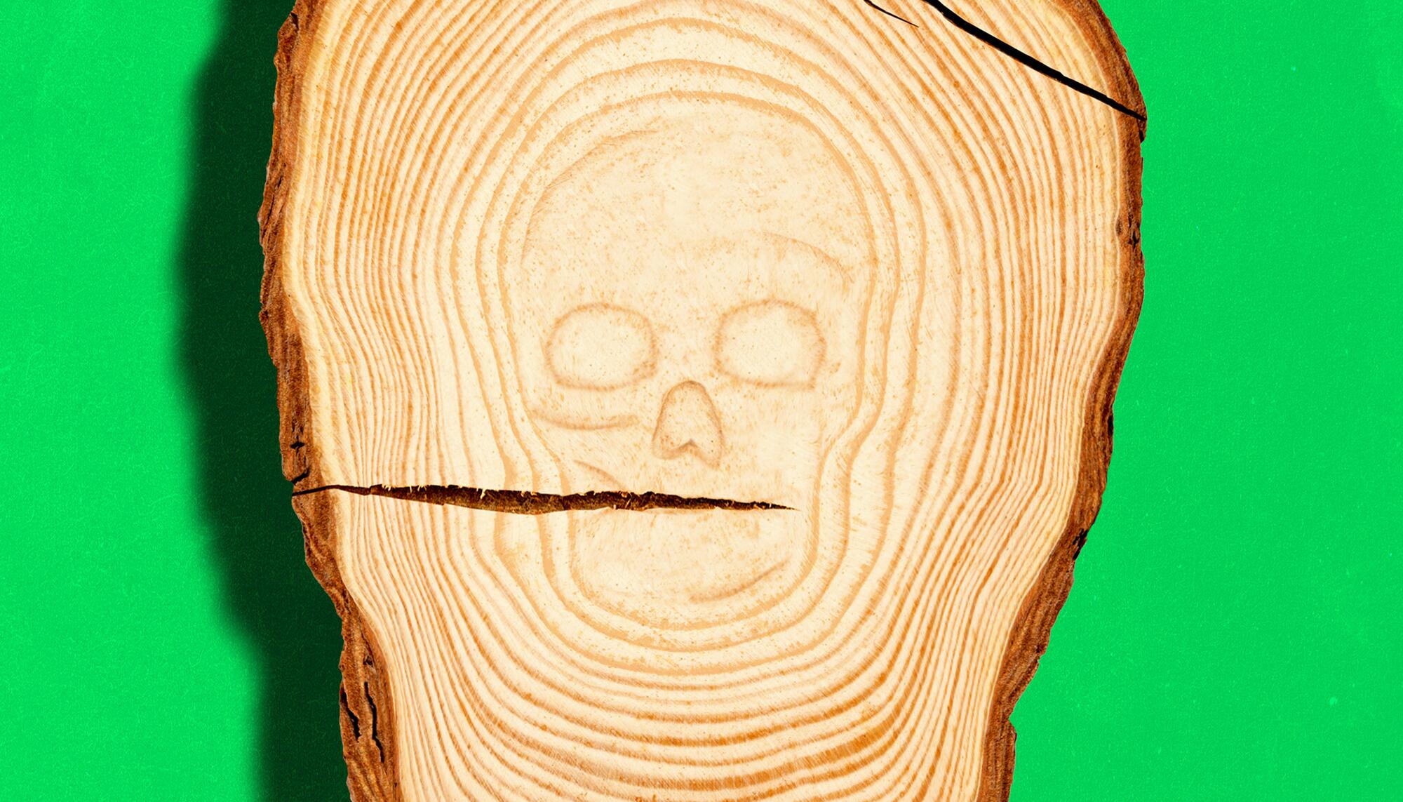 Portada revista 79 Altri